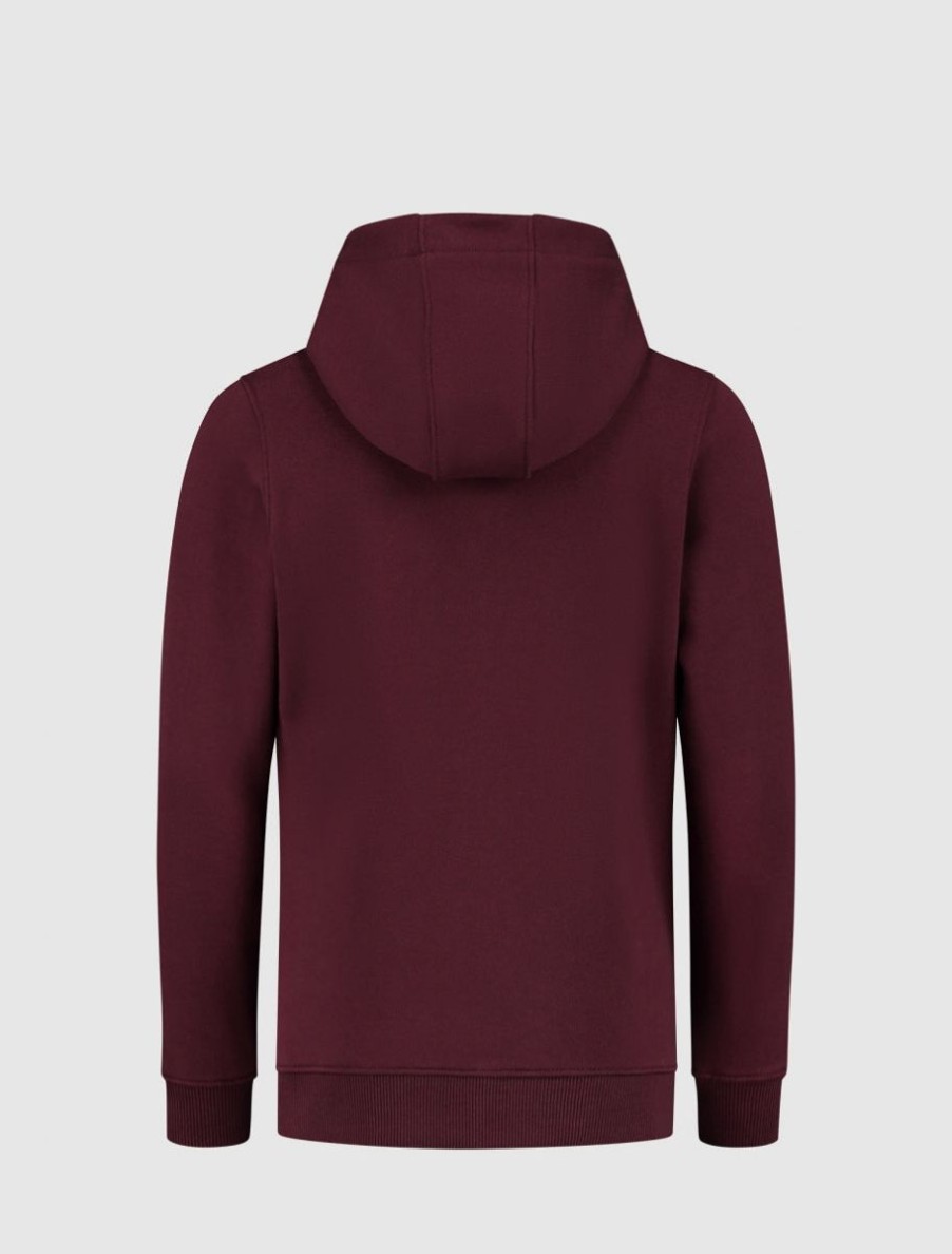 Kinderen Ballin Amsterdam | Kids Rounded Logo Print Hoodie | Aged Burgundy