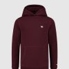 Kinderen Ballin Amsterdam | Kids Original Icon Logo Hoodie | Aged Burgundy