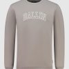 Volwassenen Ballin Amsterdam | College Outline Logo Sweater | Taupe